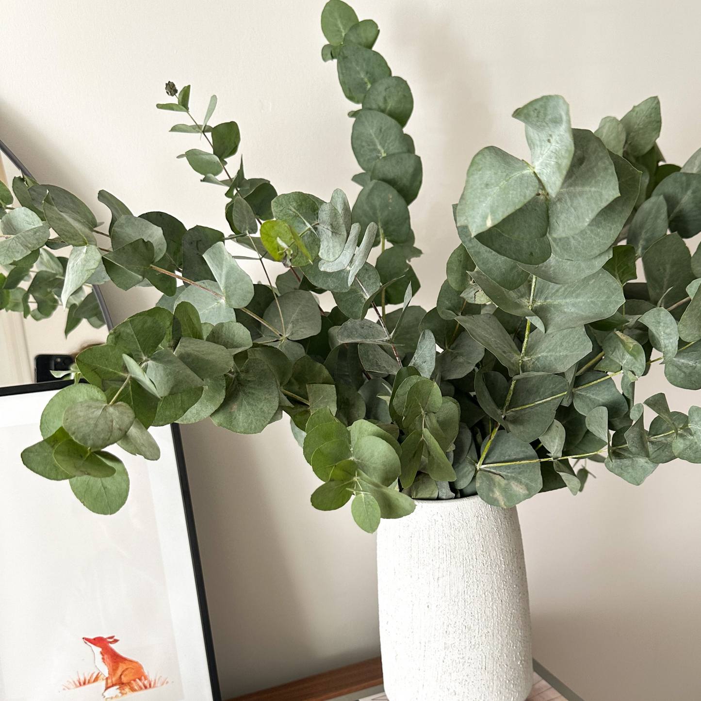 Eucalyptus Bunch